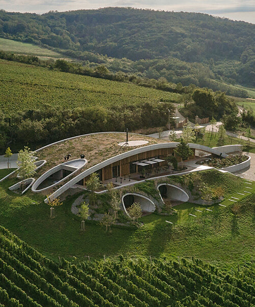 gurdau winery emerges as a ripple in the undulating landscape of kurdějov in czech republic